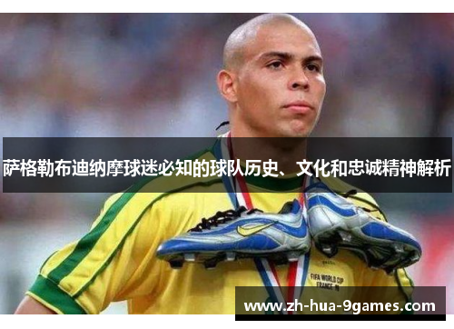 萨格勒布迪纳摩球迷必知的球队历史、文化和忠诚精神解析